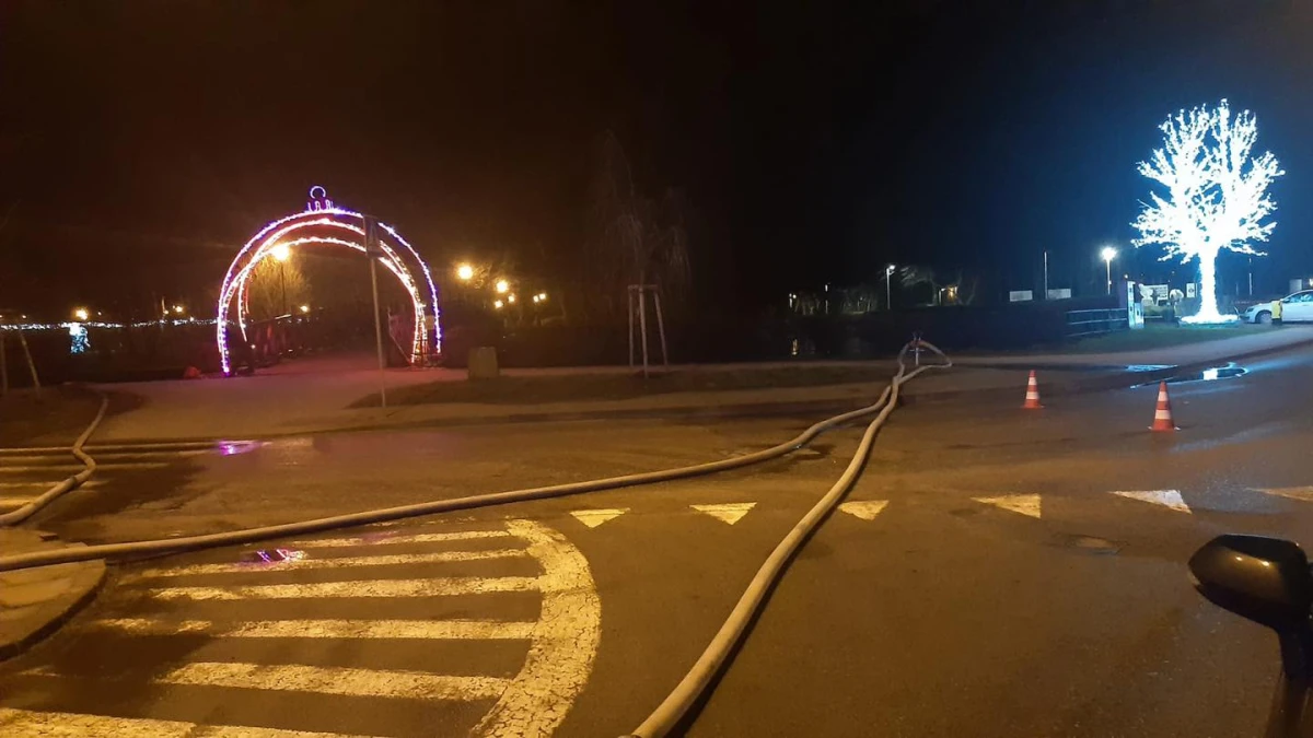 Zdjęcie