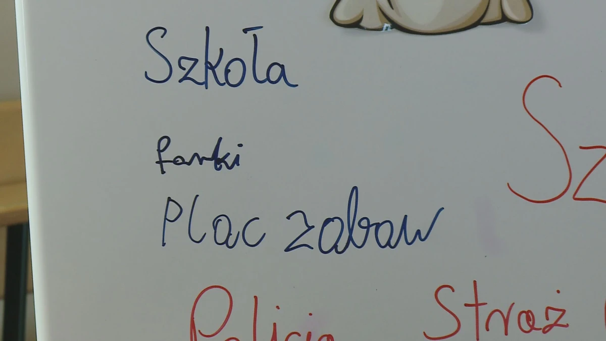 Zdjęcie