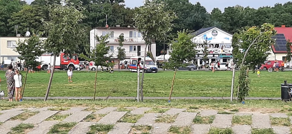 Zdjęcie