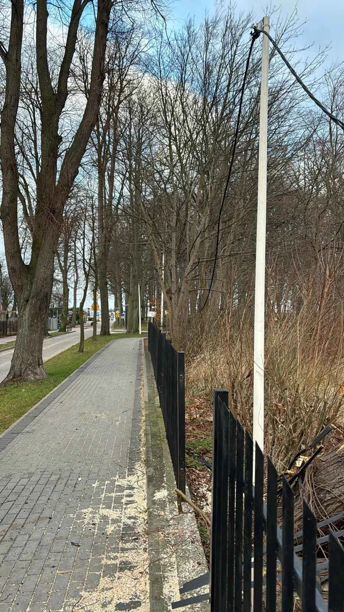 Zdjęcie