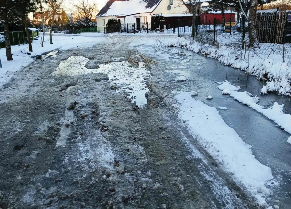 Zdjęcie