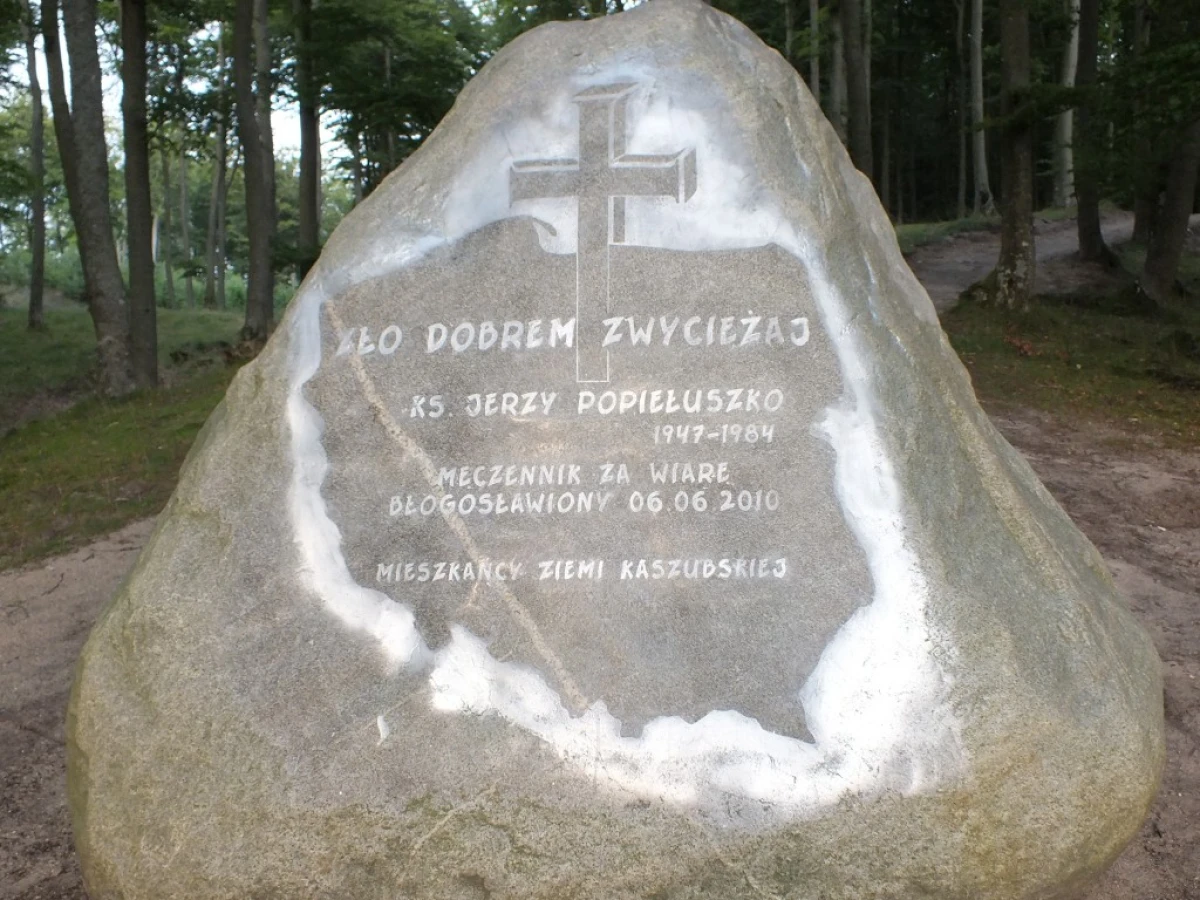Zdjęcie