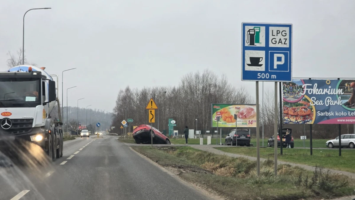 Zdjęcie