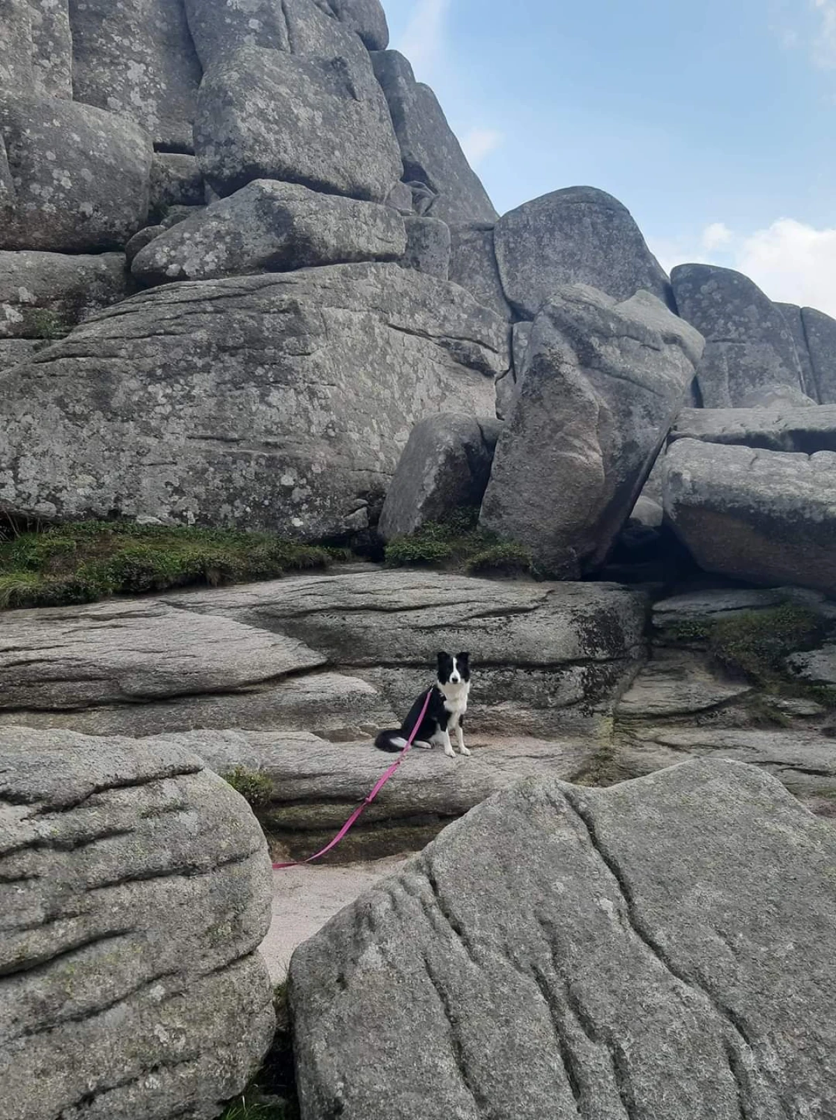 Zdjęcie