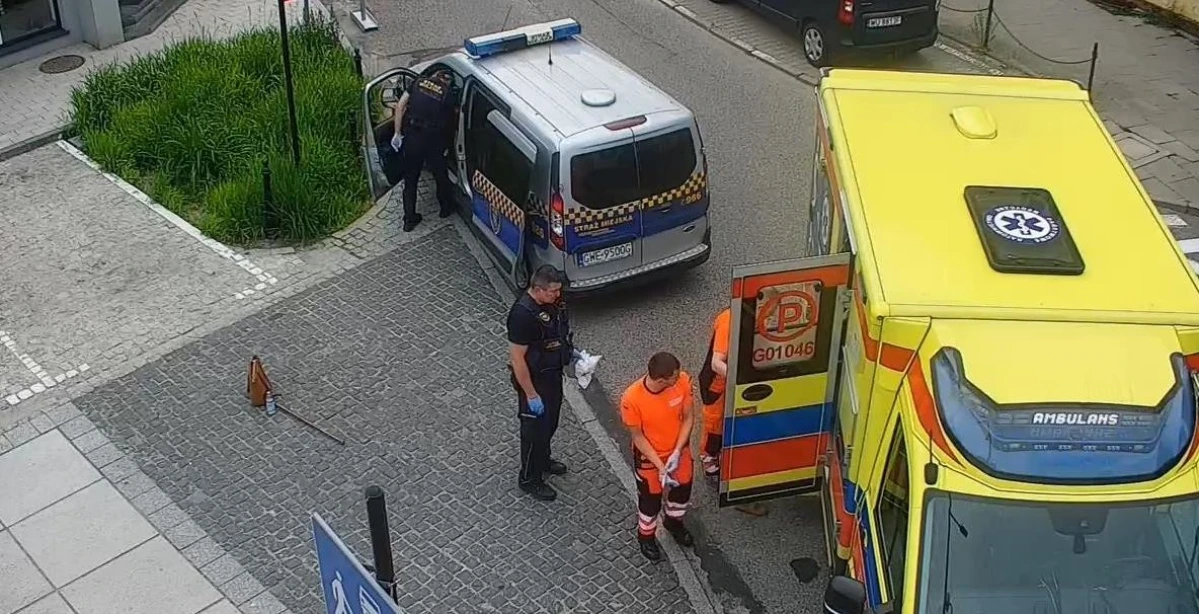 Zdjęcie
