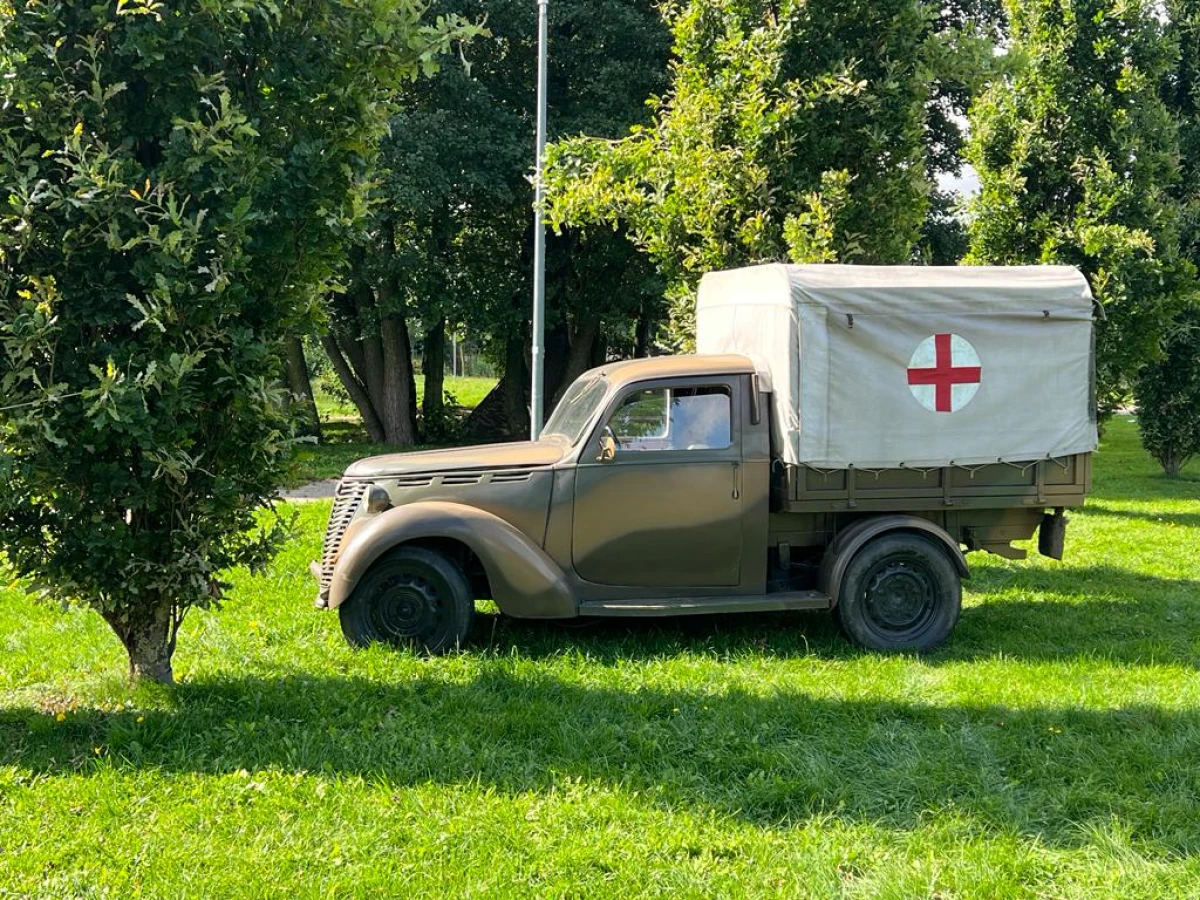 Zdjęcie