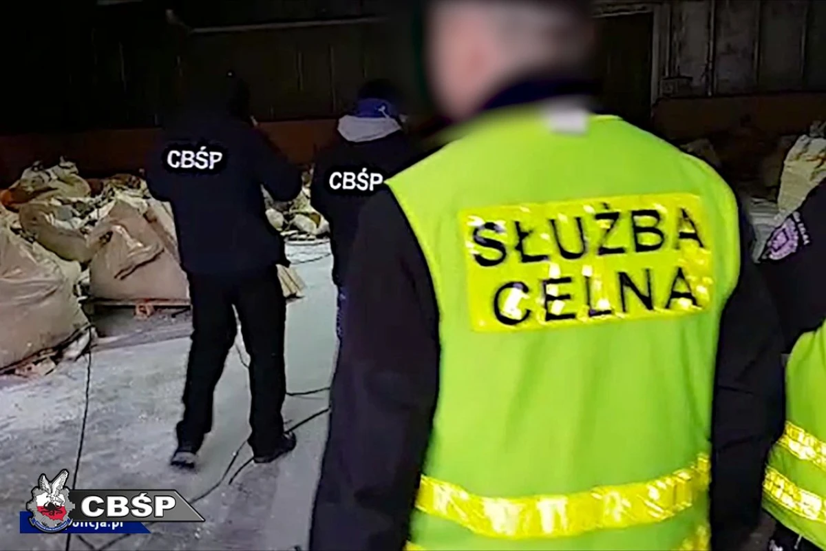 Zdjęcie