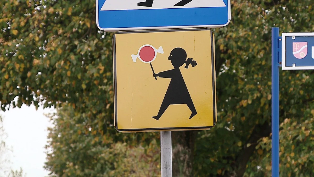 Zdjęcie