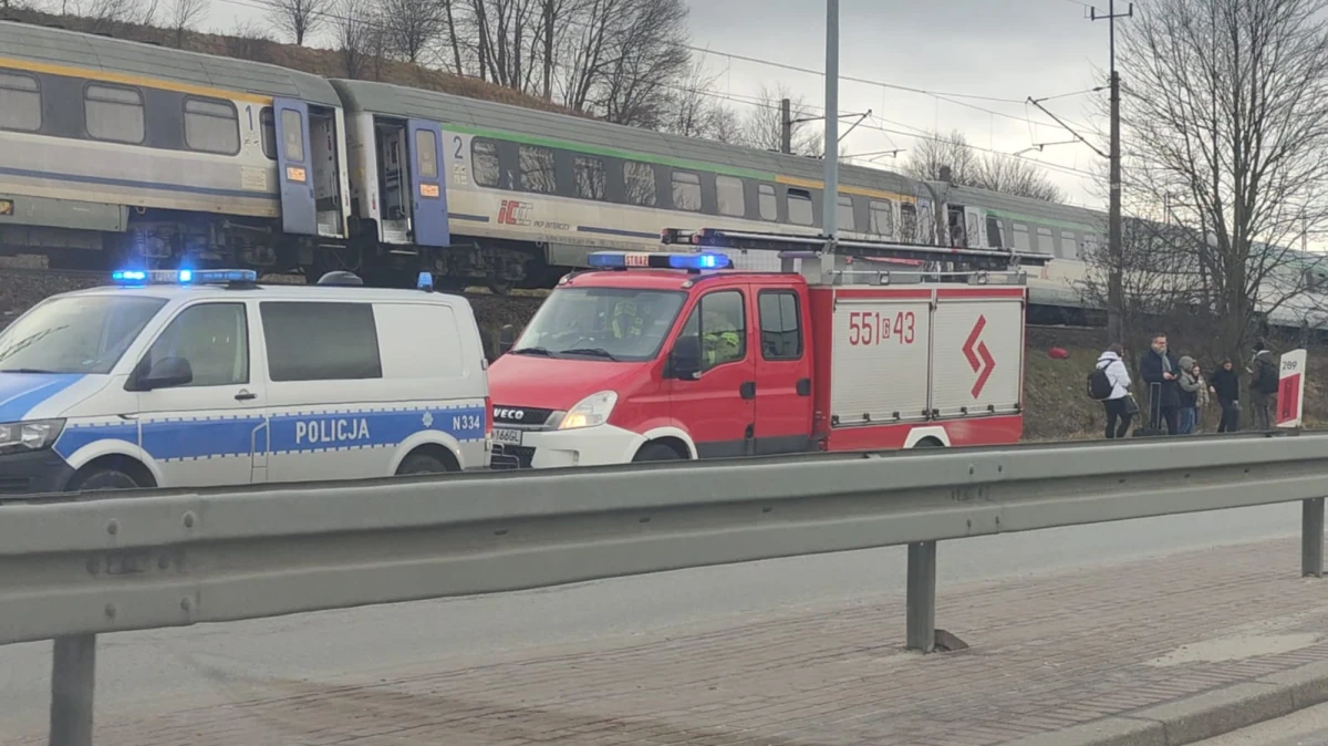 Zdjęcie