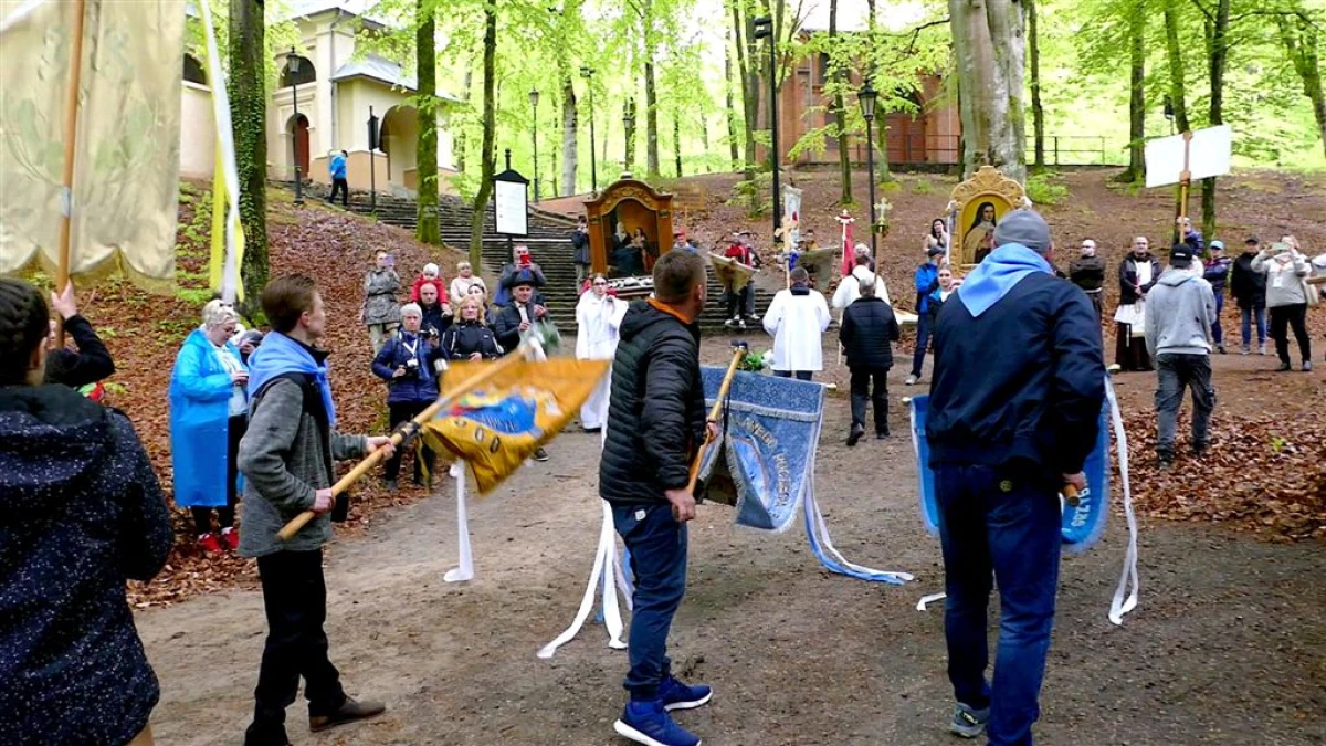Zdjęcie