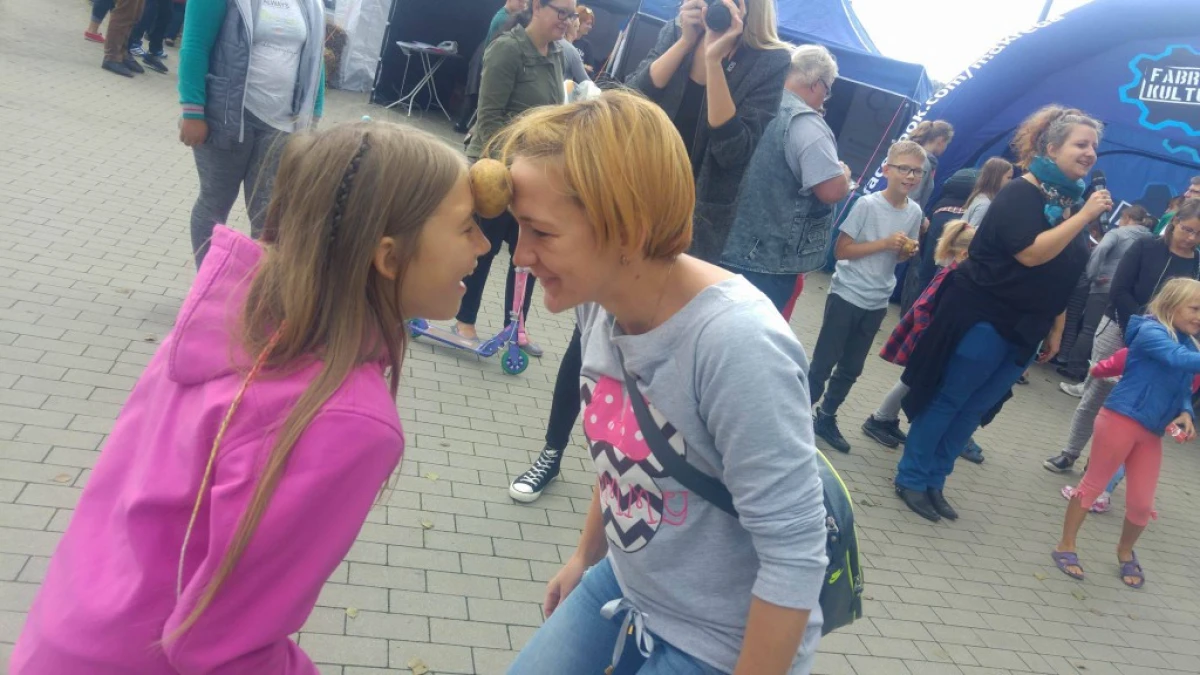 Zdjęcie