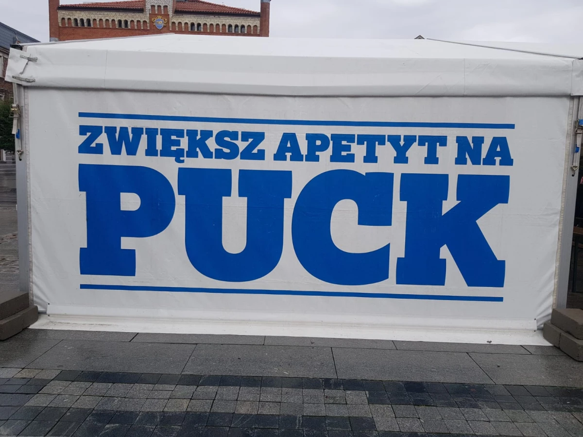 Zdjęcie