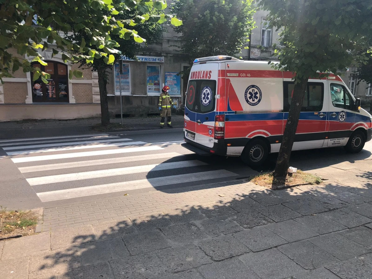 Zdjęcie