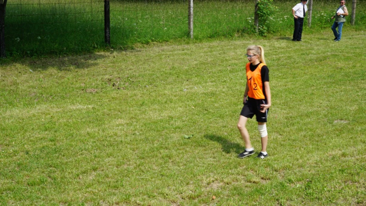 Zdjęcie