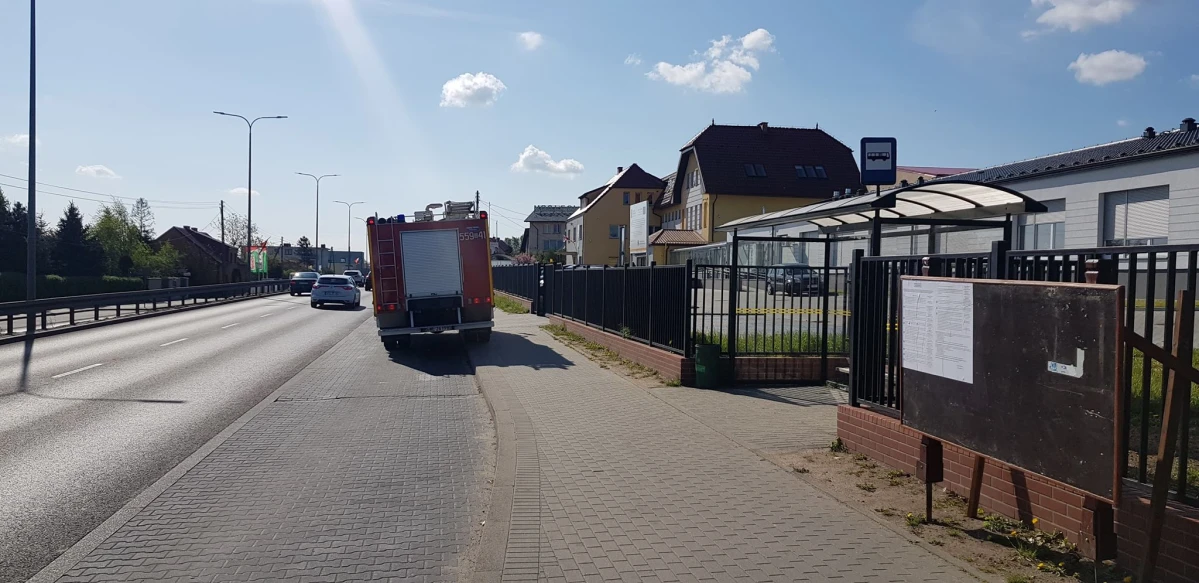 Zdjęcie