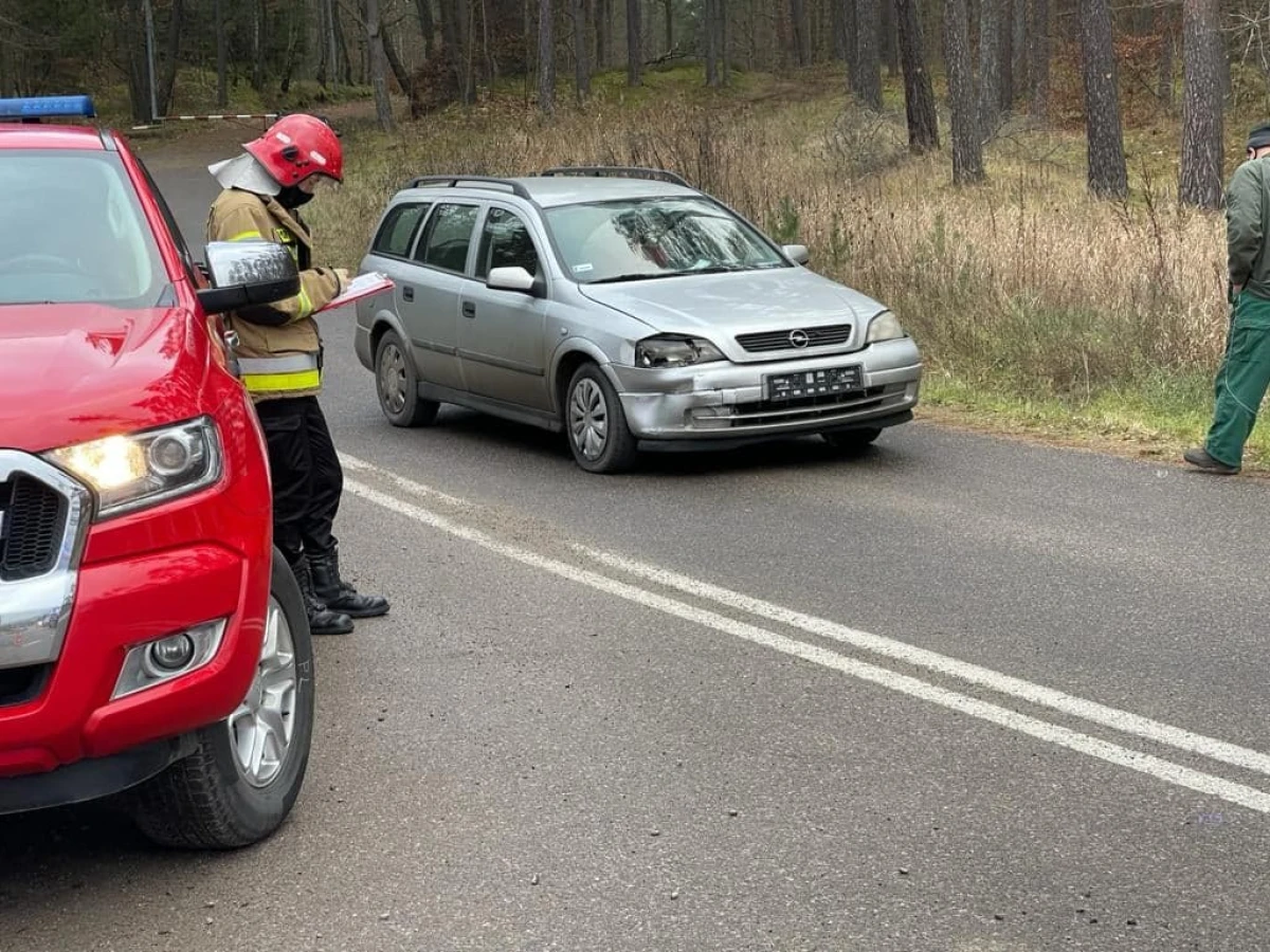 Zdjęcie