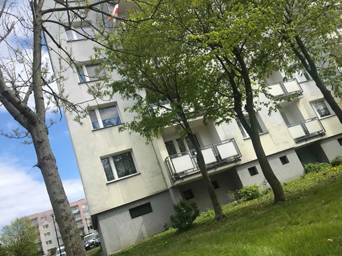 Zdjęcie