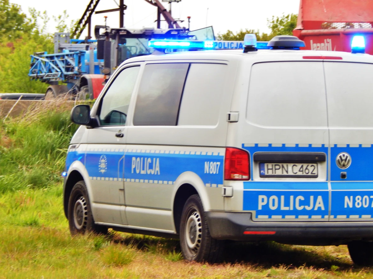 Zdjęcie