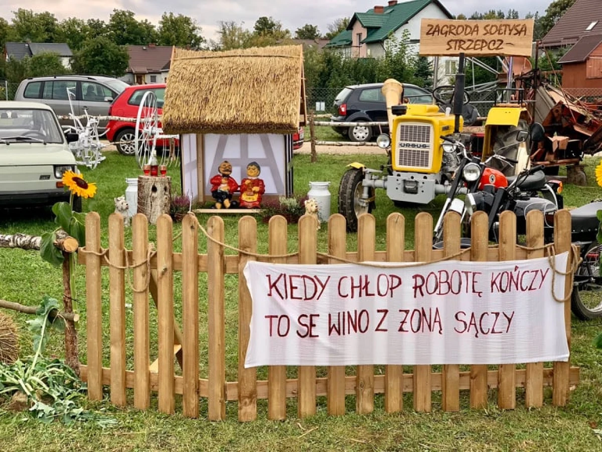 Zdjęcie