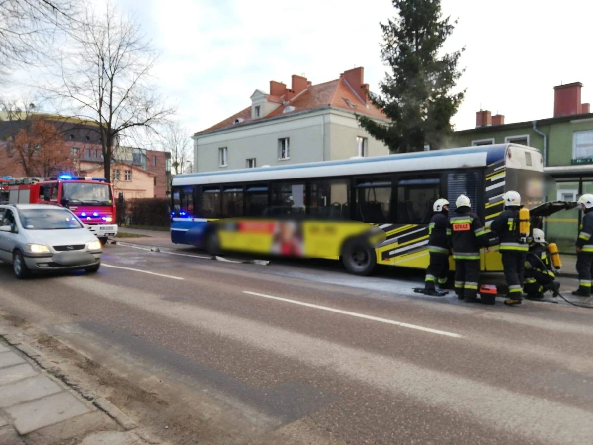 Zdjęcie