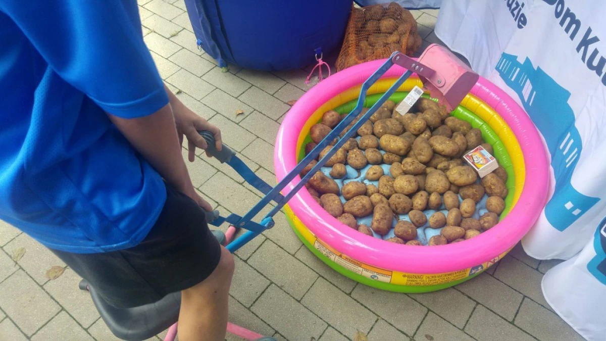 Zdjęcie