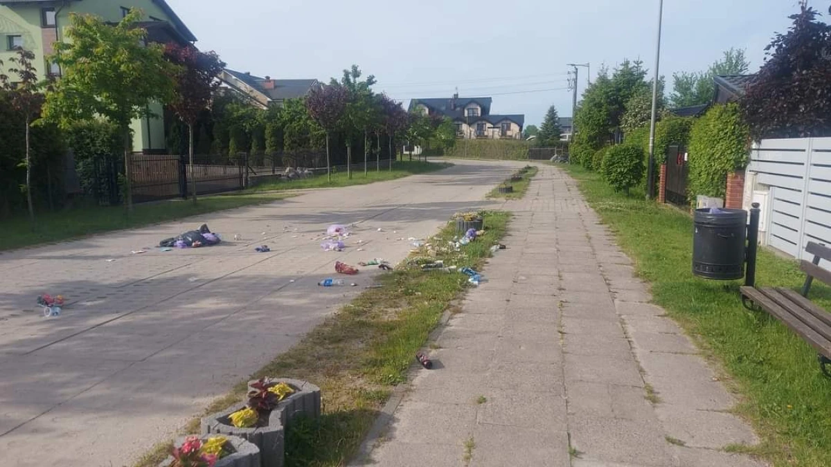 Zdjęcie