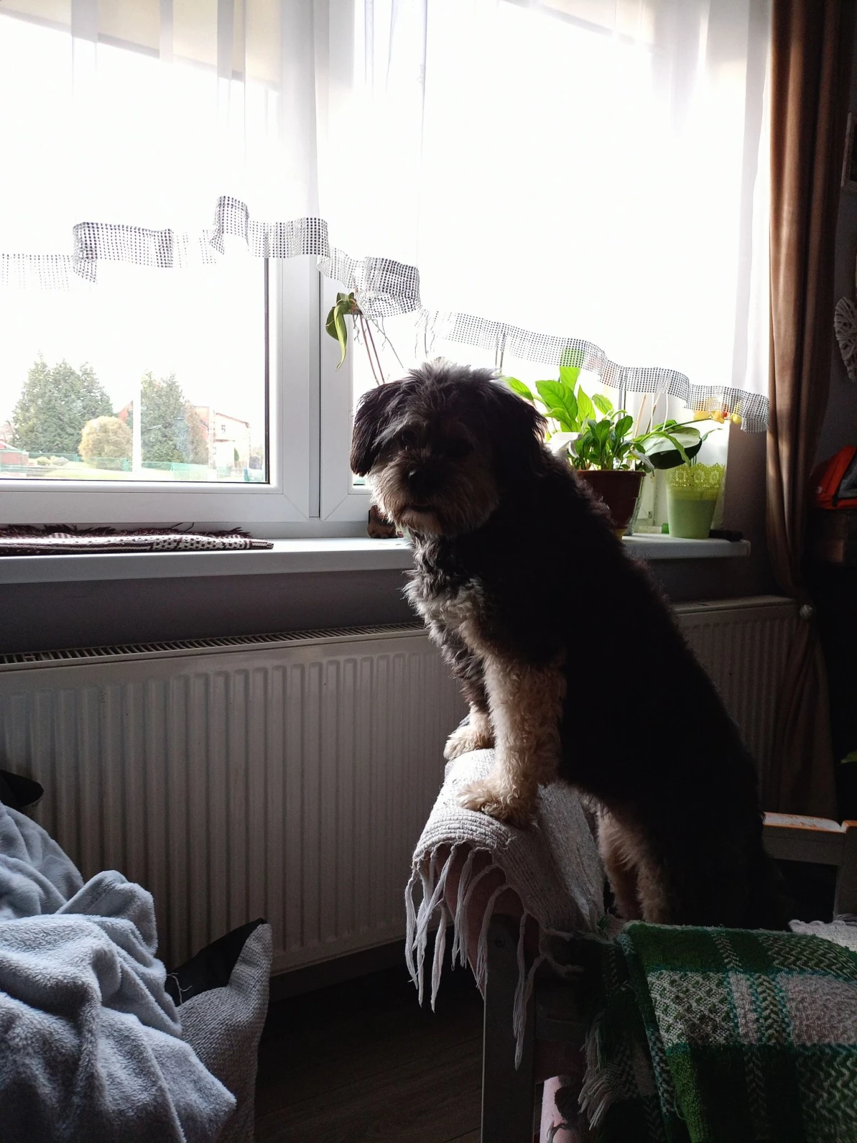Zdjęcie