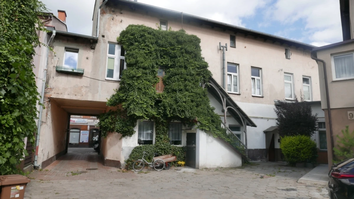 Zdjęcie