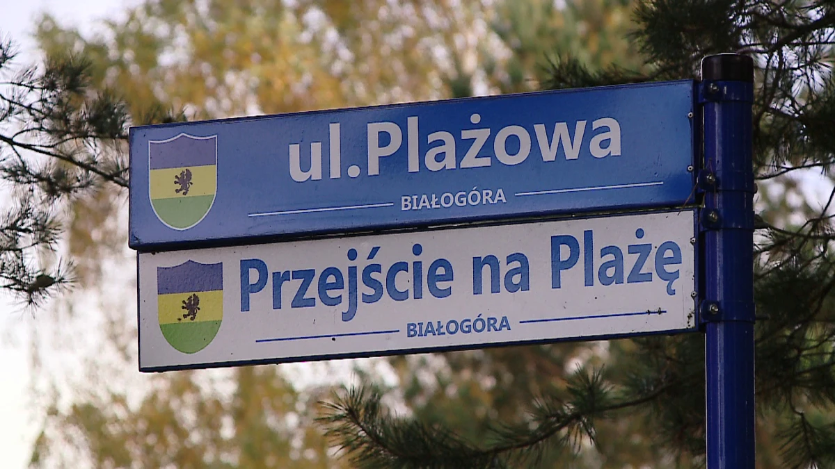 Zdjęcie