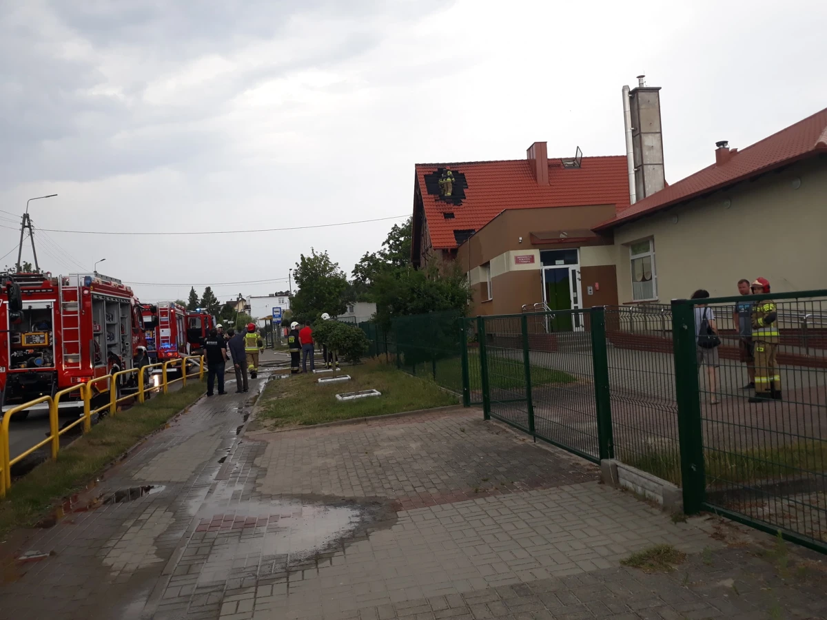 Zdjęcie