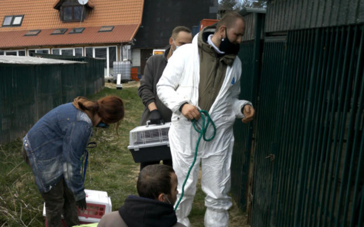Zdjęcie