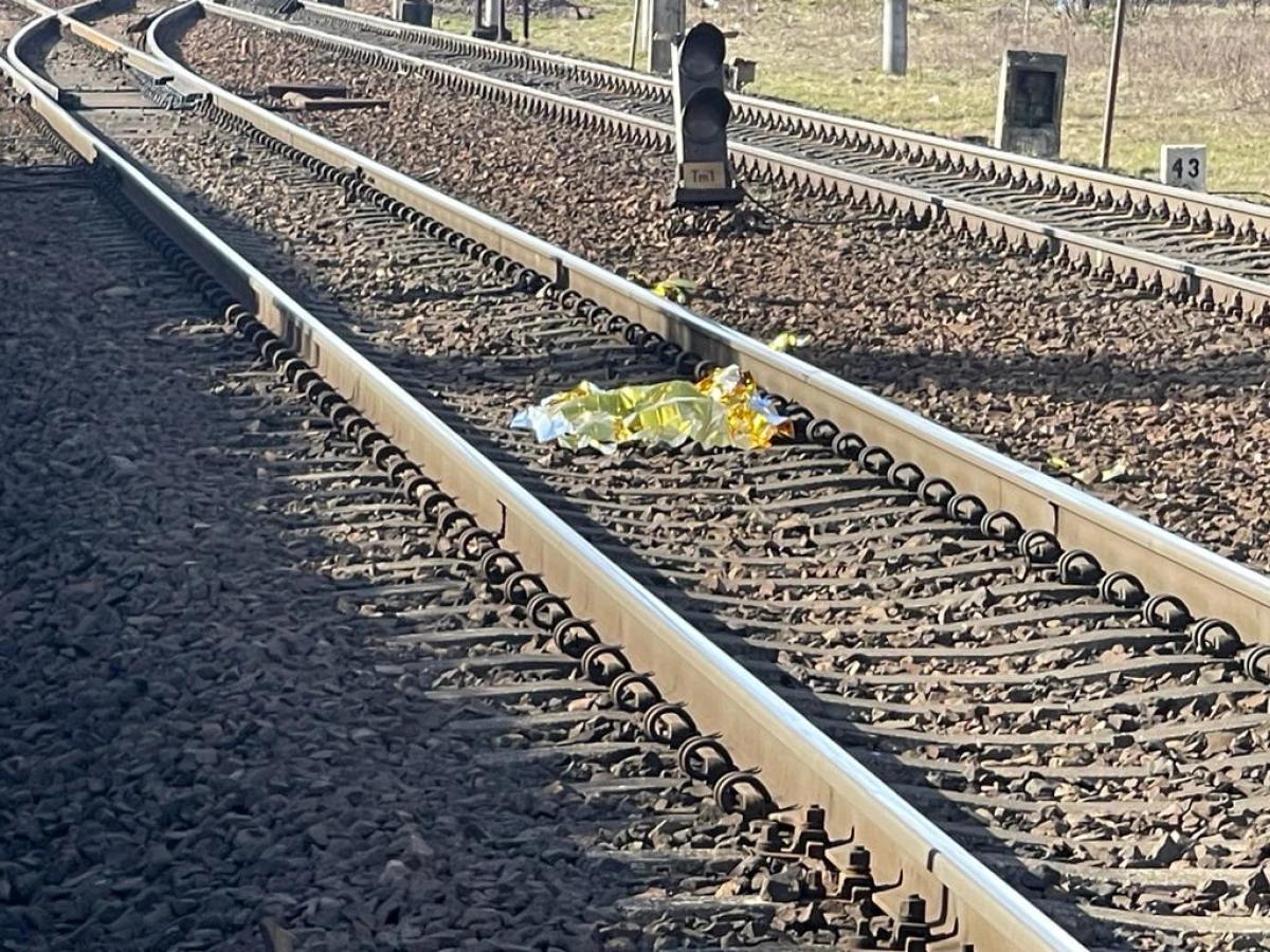 Zdjęcie