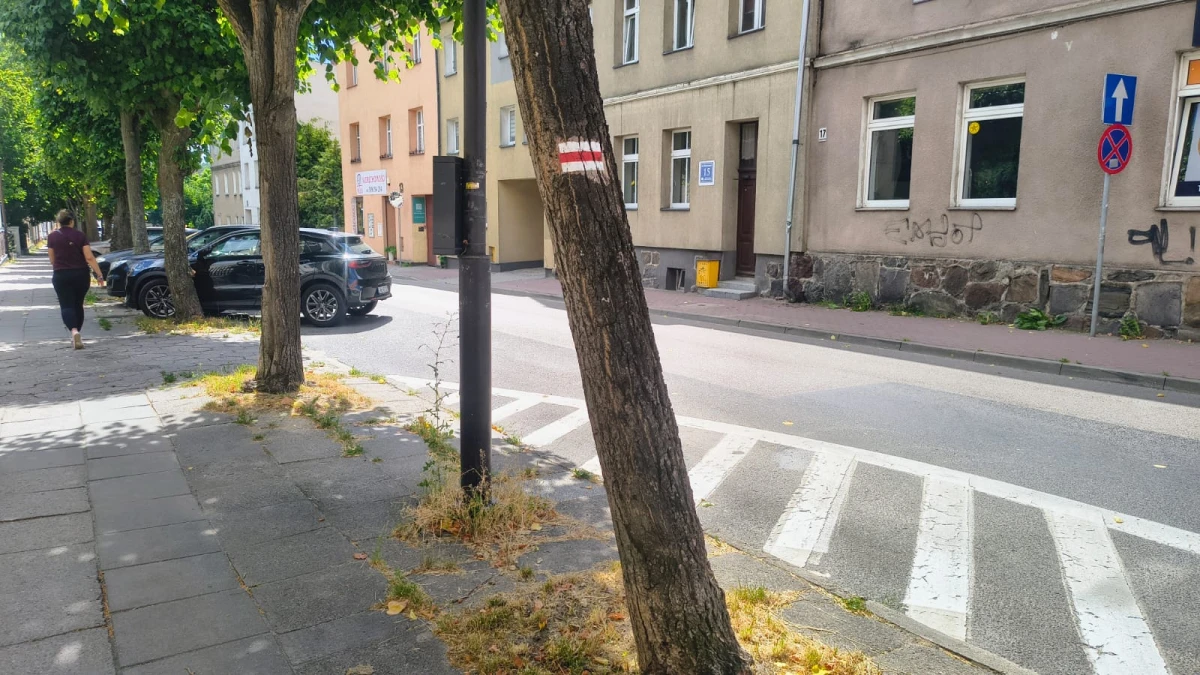 Zdjęcie