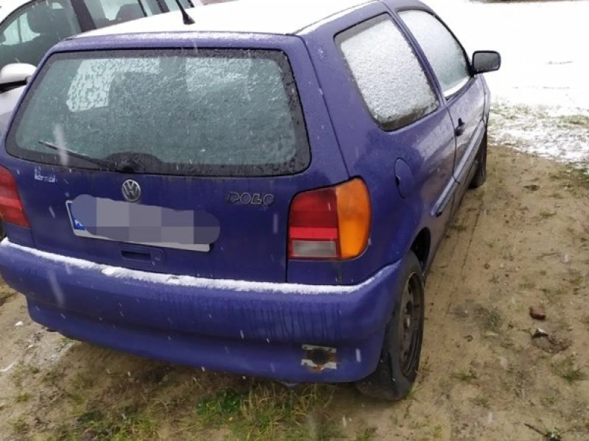 Zdjęcie