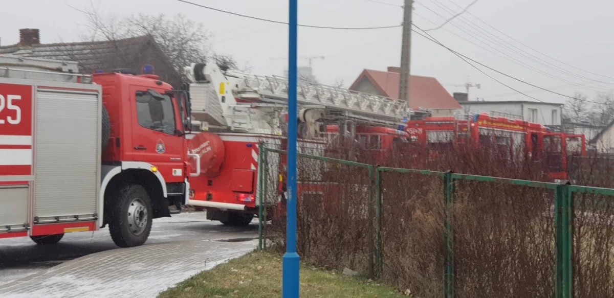 Zdjęcie