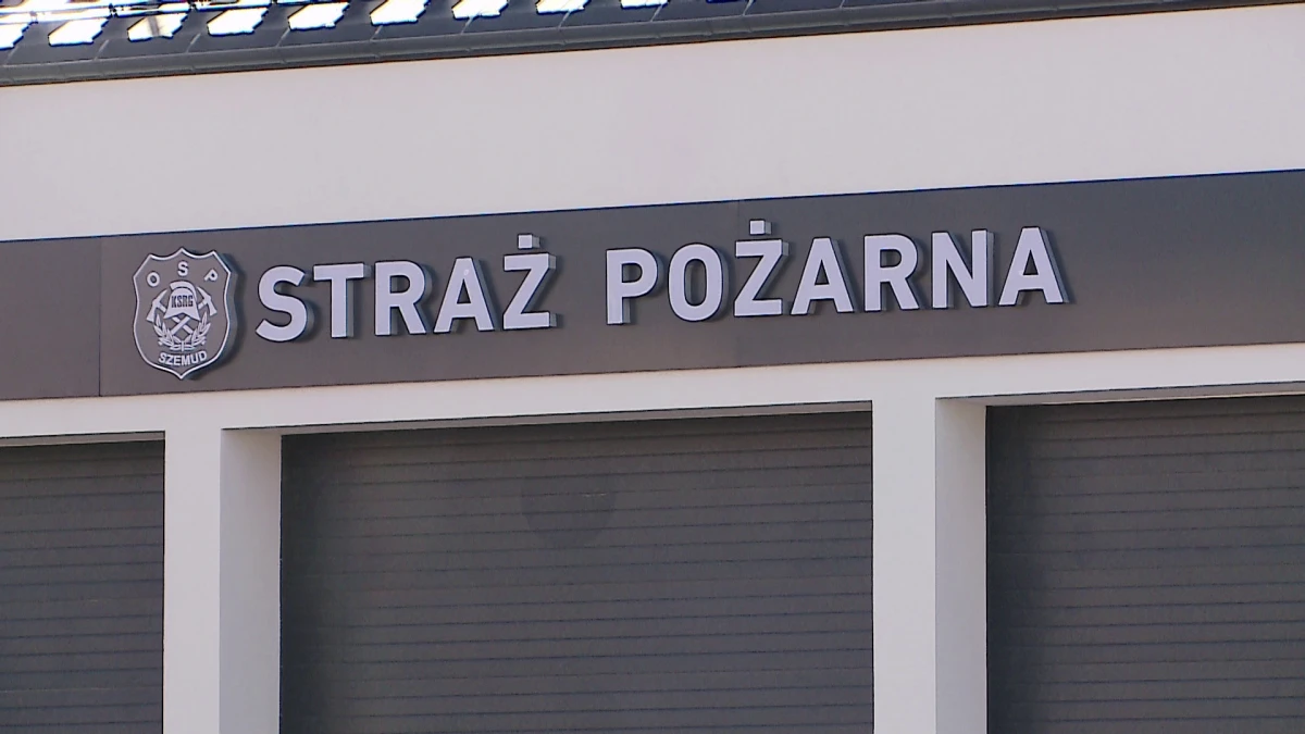 Zdjęcie