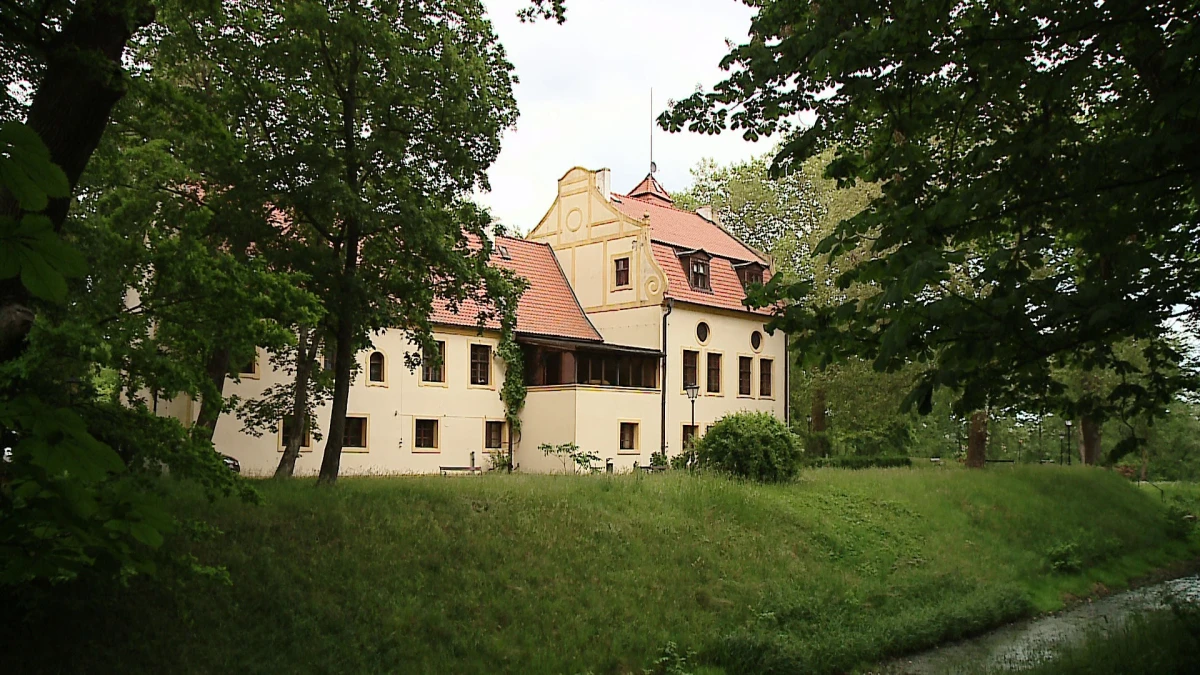 Zdjęcie