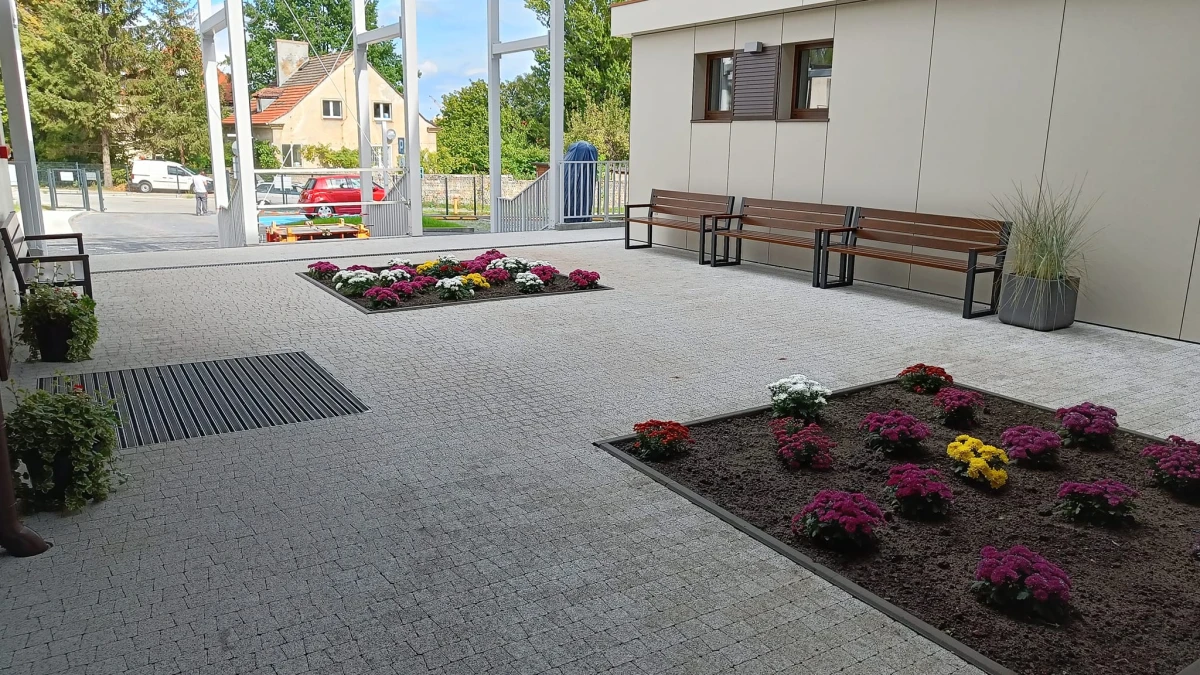 Zdjęcie