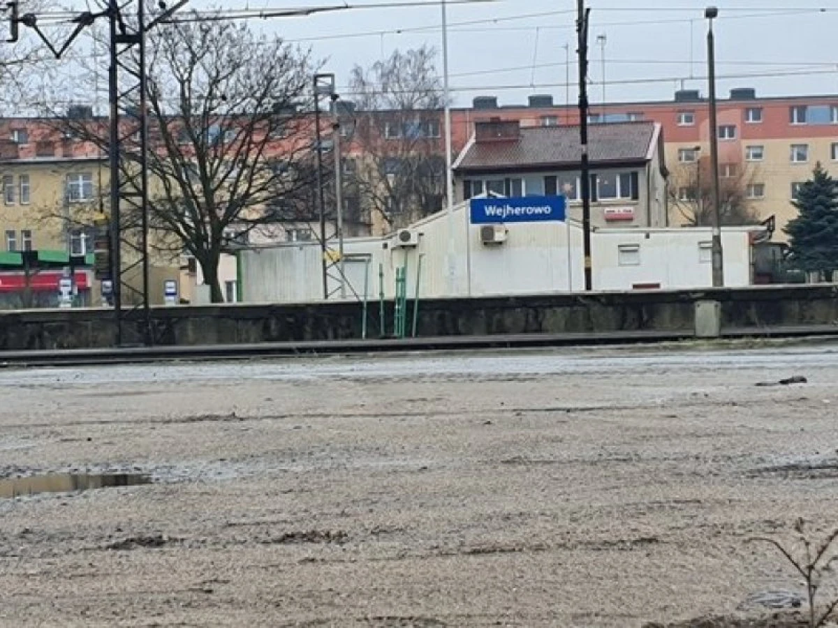 Zdjęcie