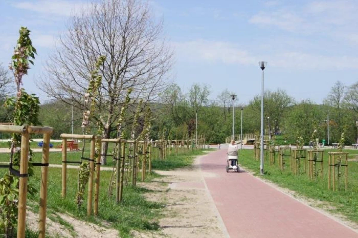 Zdjęcie