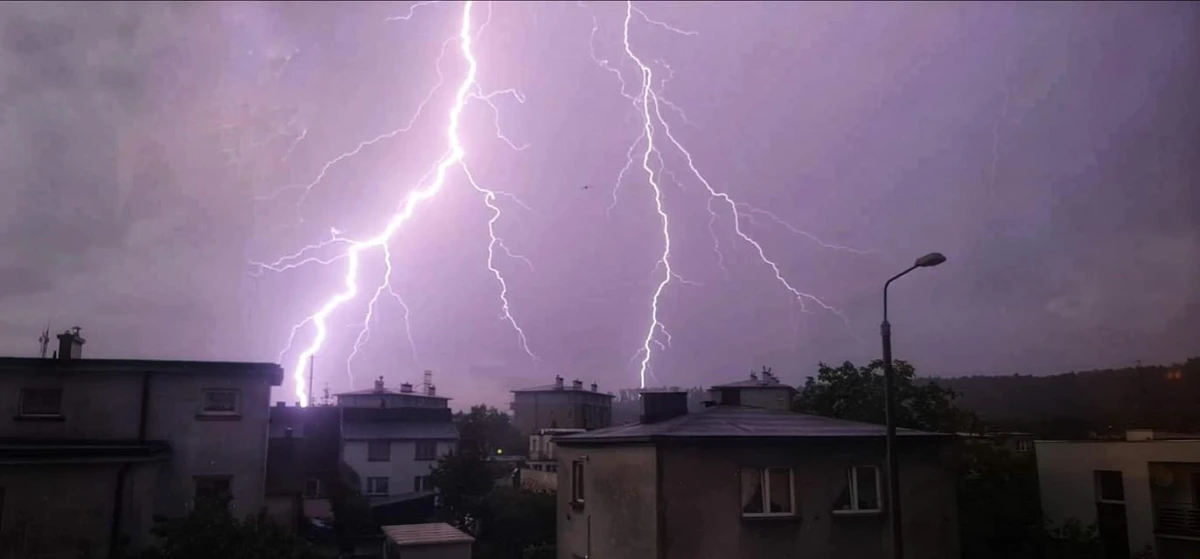 Zdjęcie