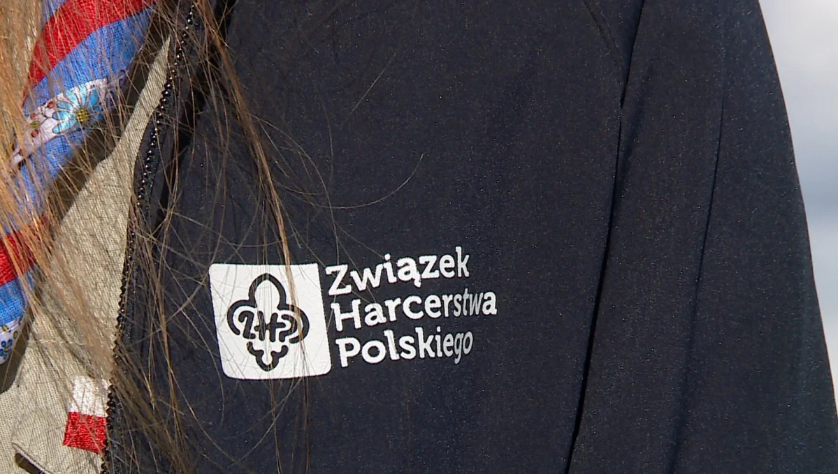 Zdjęcie