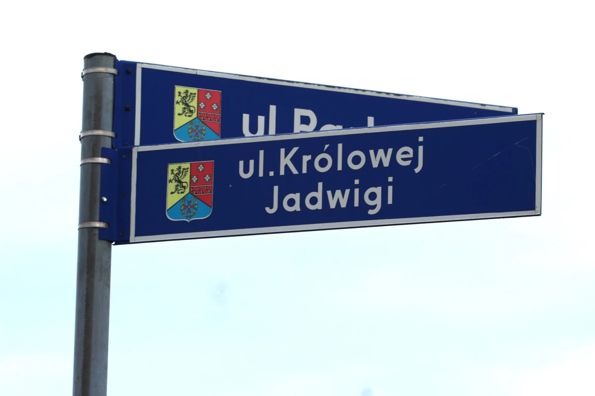 Zdjęcie