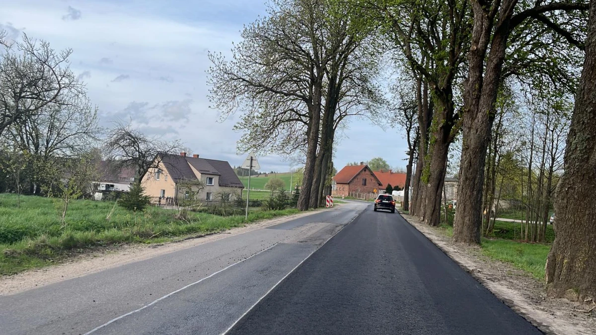 Zdjęcie