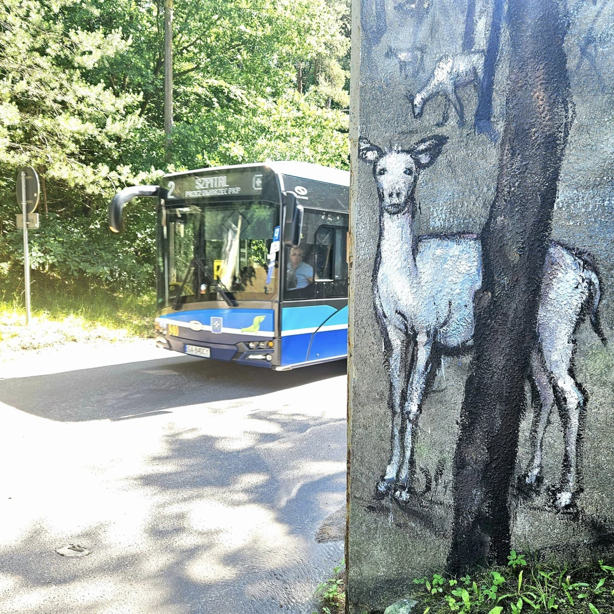 Zdjęcie