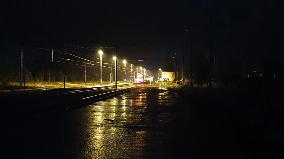 Zdjęcie