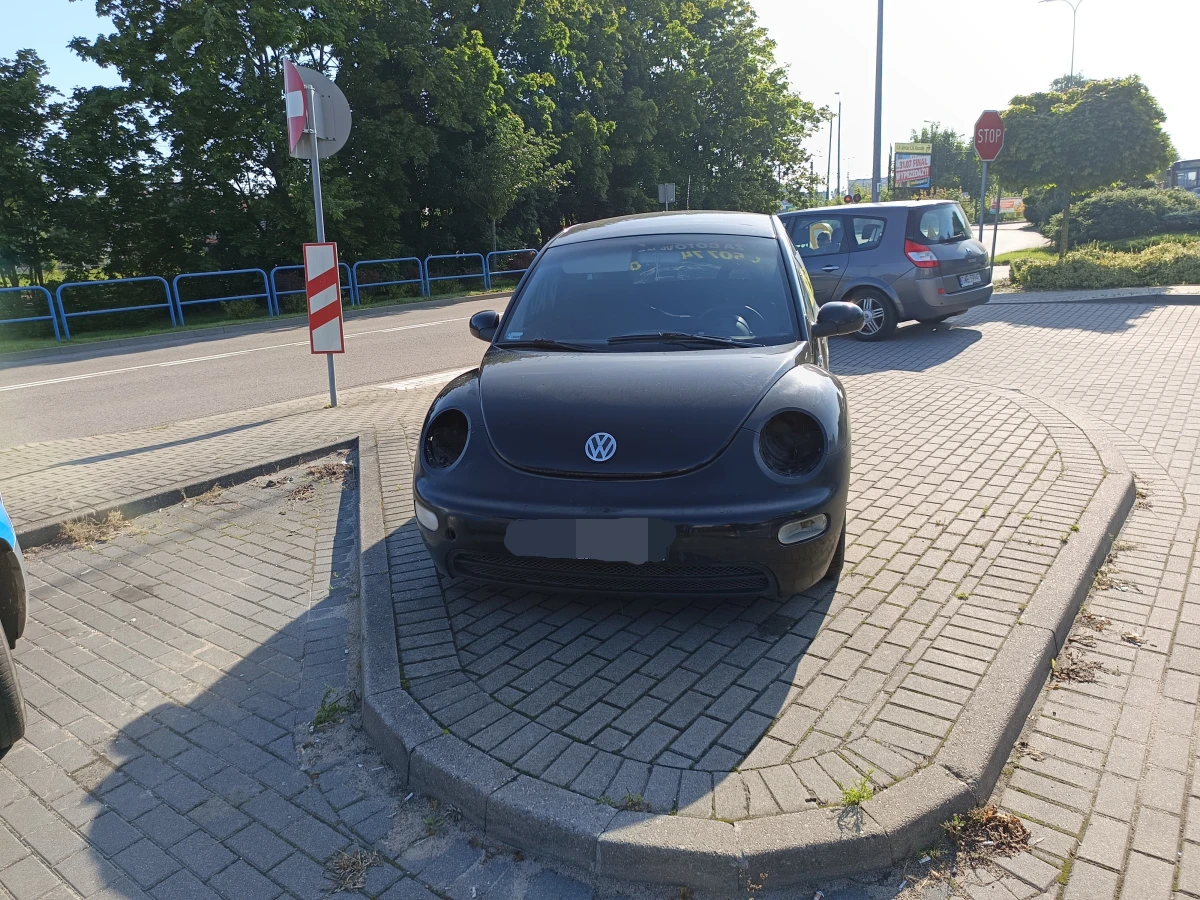 Zdjęcie