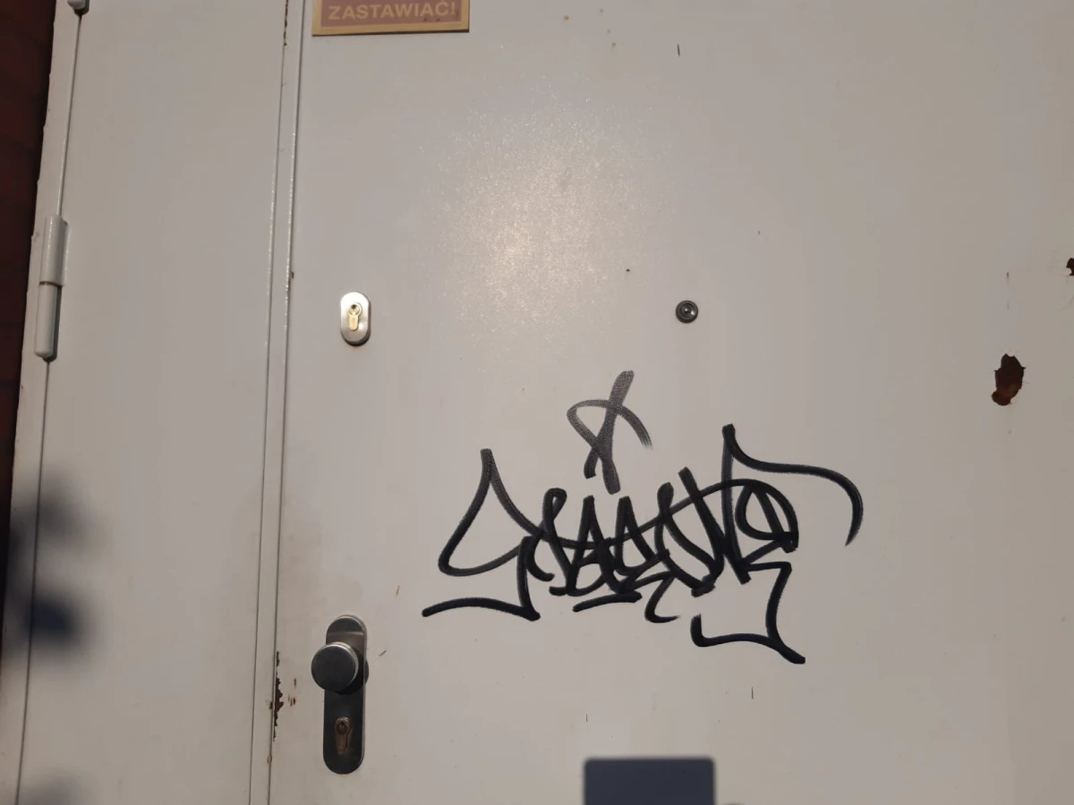 Zdjęcie