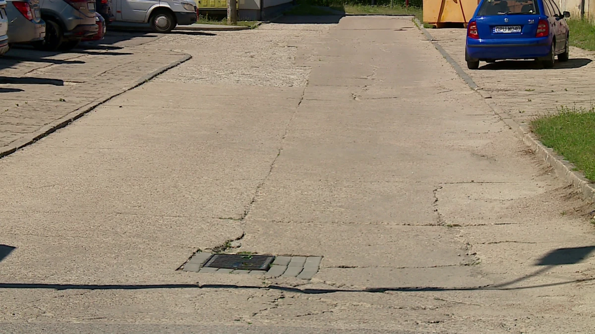 Zdjęcie