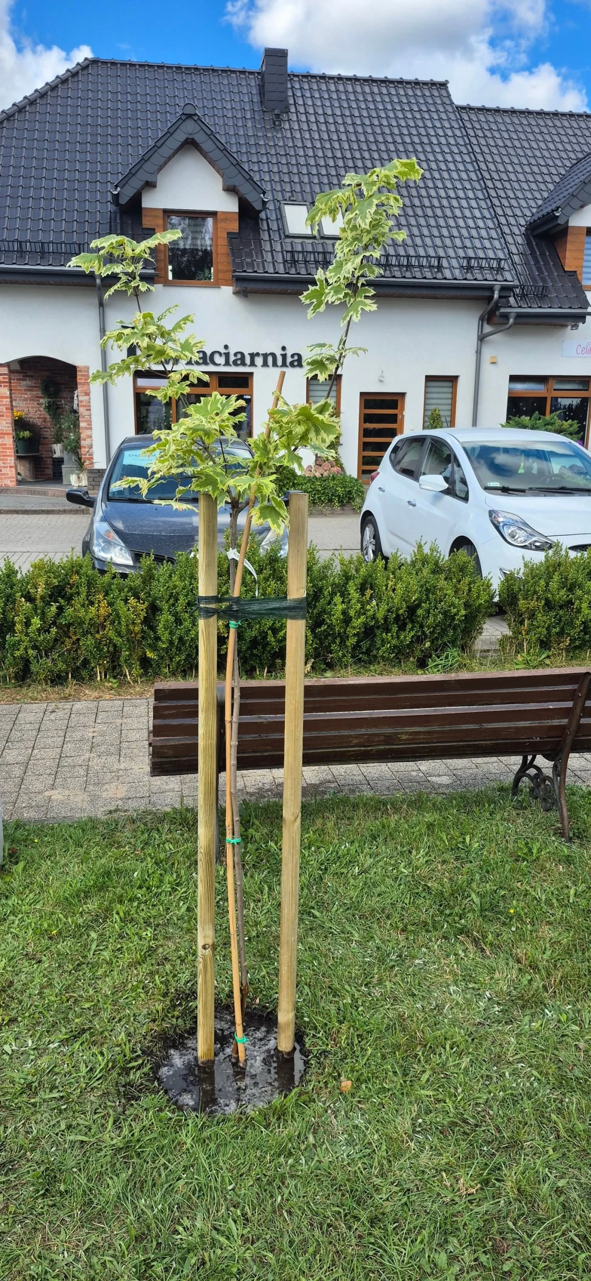 Zdjęcie